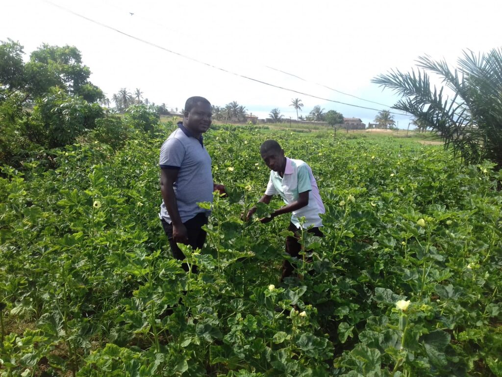 youth in Agriculture